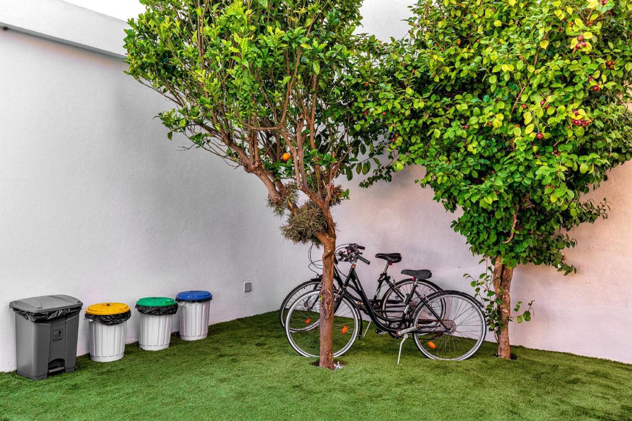 Ilheu 25 Peniche House Bed & Breakfast エクステリア 写真